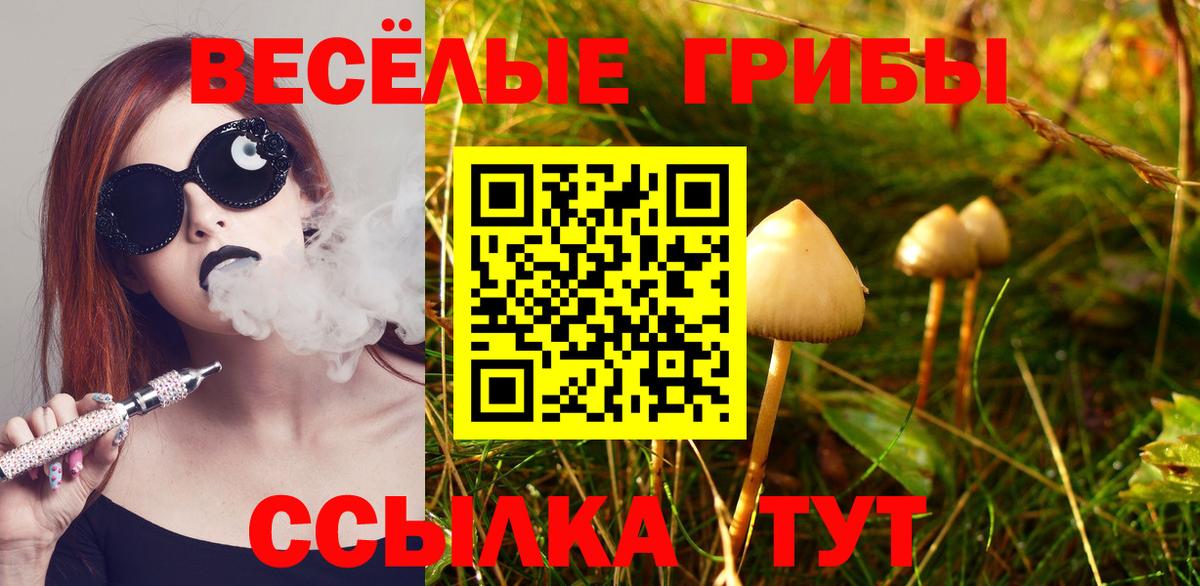 Галлюциногенные грибы мицелий  Вход с VPN  Мирный 