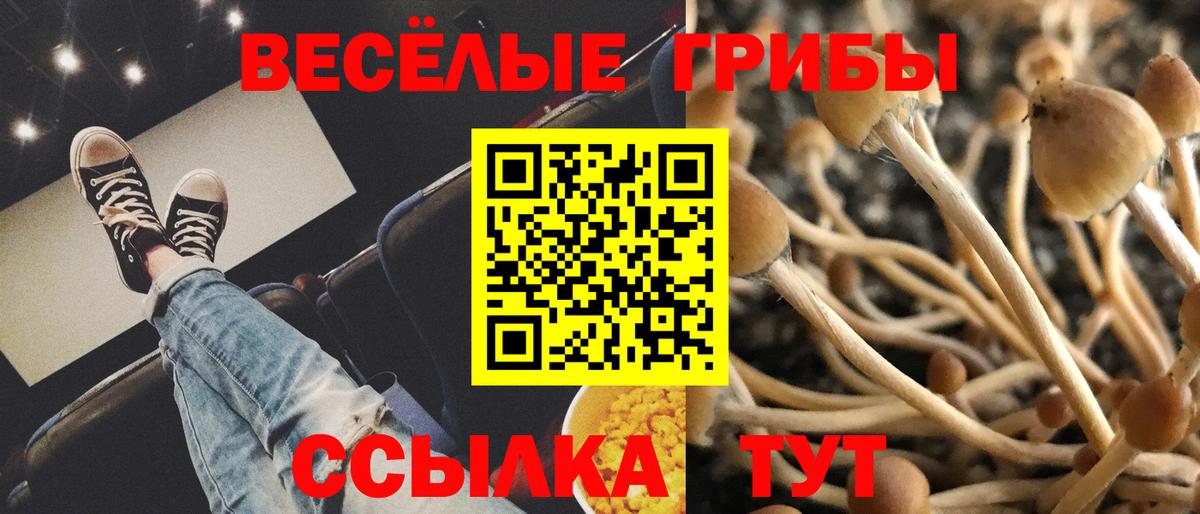 Галлюциногенные грибы ЛСД Мирный